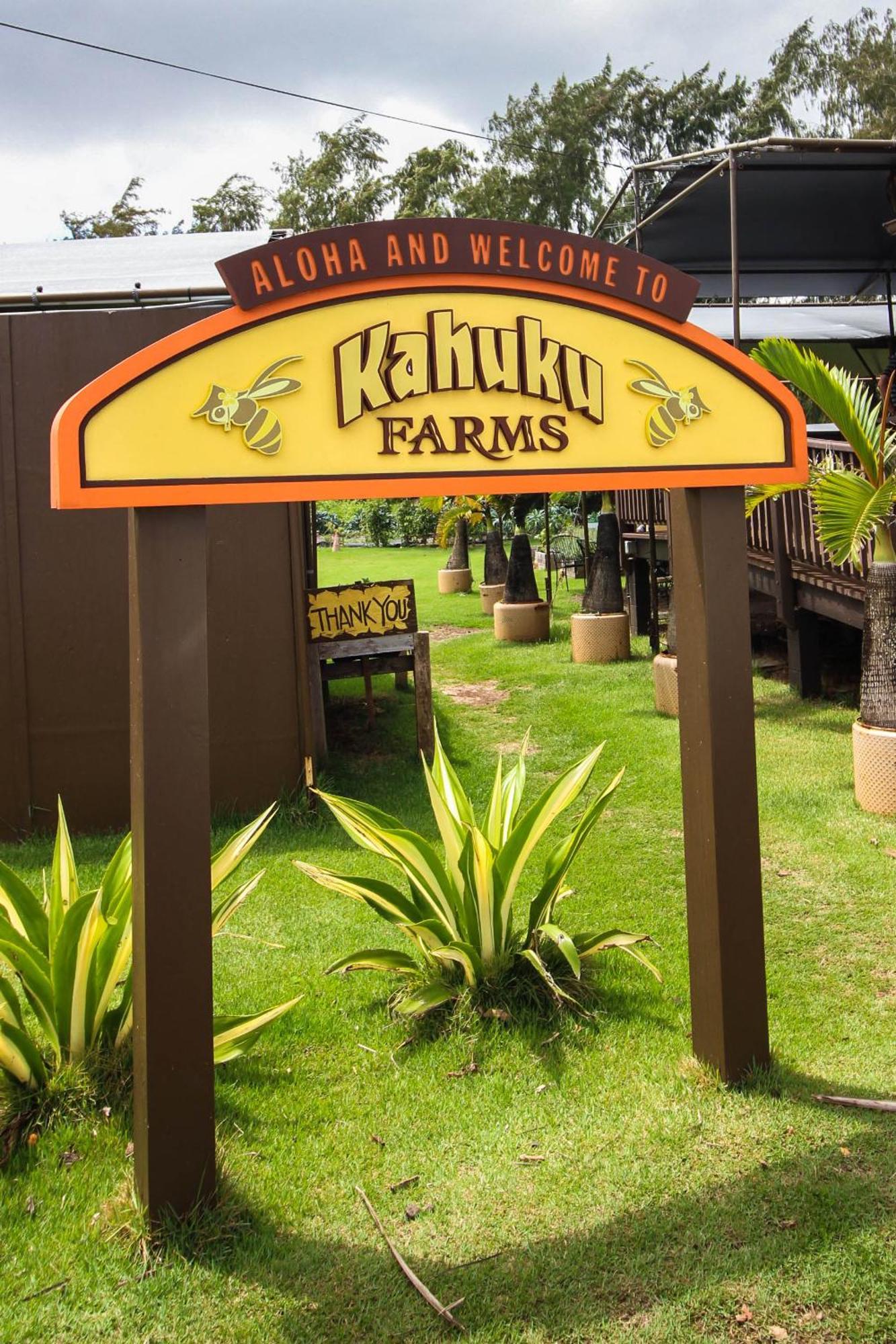 Naupaka Breeze Ocean View Ac 30 Day Stay Specials! Laie Buitenkant foto