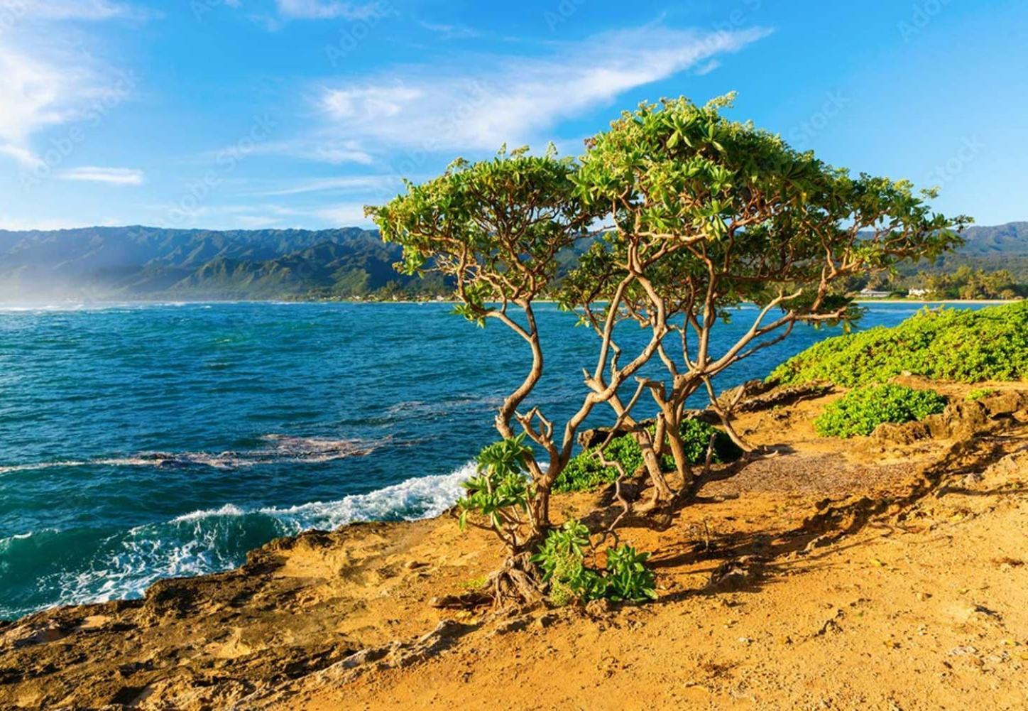 Naupaka Breeze Ocean View Ac 30 Day Stay Specials! Laie Buitenkant foto